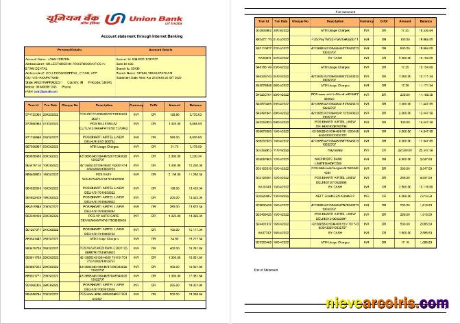 India Union Bank of India bank statement, 2 pages